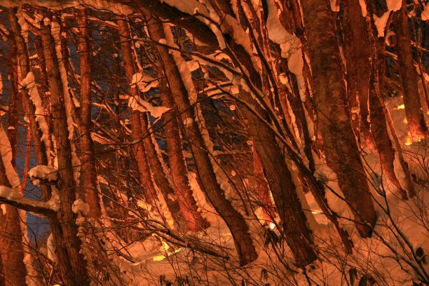 冬天的灯图片下载