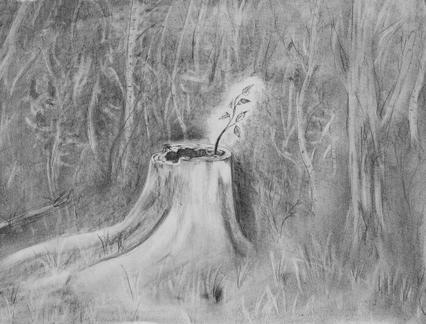 从腐烂的树桩上长出的嫩芽图片下载