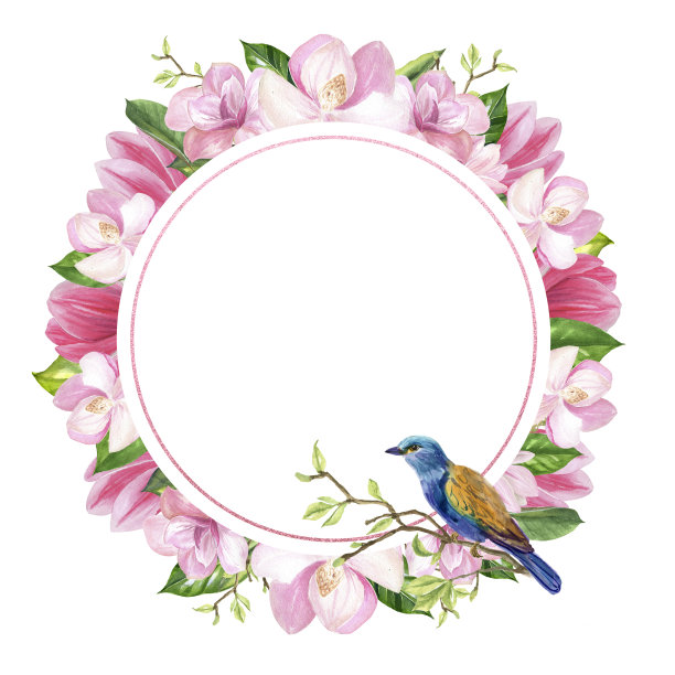 完成后的图像是一个粉红色的玉兰花花环和细枝，一只蓝色的鸟和一个粉红色的圆圈在白色的背景，有一个地方你的签名，水彩画素材图片