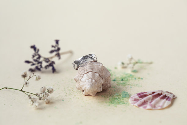 彩色背景上的金色结婚戒指、贝壳和小花特写图片下载