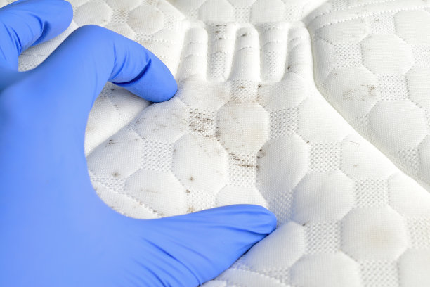 床垫上有霉菌和污迹。图片下载