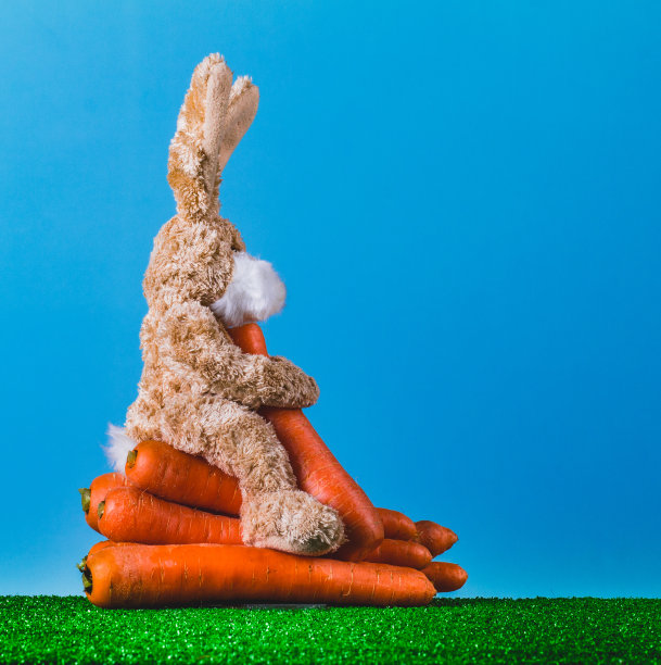 复活节假期。快乐兔子正在吃一根真的胡萝卜。健康饮食的概念。蓝色背景和空白文字。图片下载
