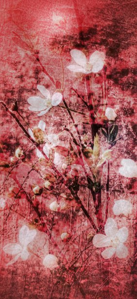 花的背景上的五叶植物枝上的日本灵感红色裂纹图片下载