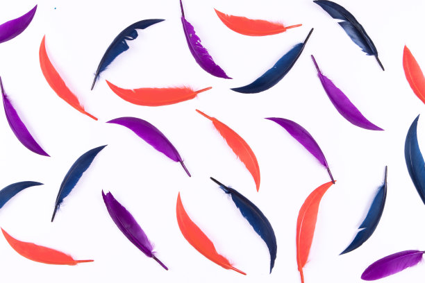 抽象背景与红色，蓝色和紫色的羽毛图片下载