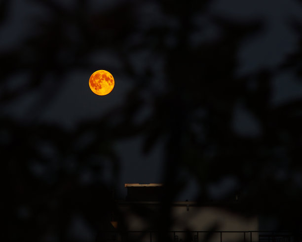 满月，城市的夏天图片下载