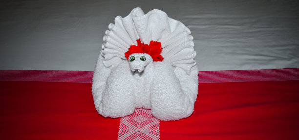 毛巾铸成的动物图片下载