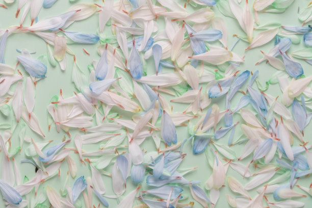 春花花瓣为背景，装饰为设计，生态风格图片下载