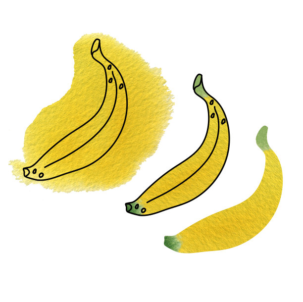 水彩香蕉在不同的风格。图片下载