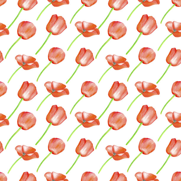 水彩红罂粟无缝图案。手绘植物罂粟花插图孤立在白色背景。图片下载