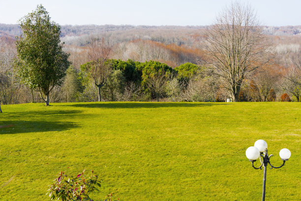 大草坪在绿色公园图片下载