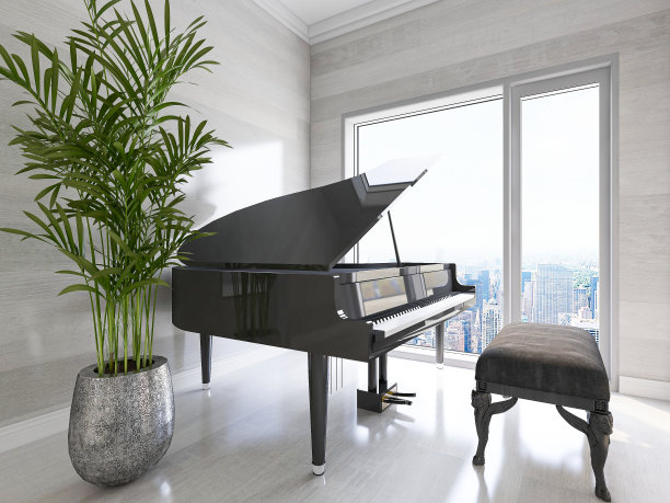 卧室里有衣帽间、钢琴和绿色植物。从落地窗射进来的阳光很干净。图片下载