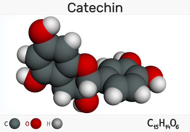 儿茶素，类黄酮，C15H14O6分子。它是黄烷醇，一种天然酚和抗氧化剂。分子模型图片下载