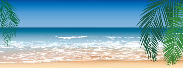 热带海滩，海浪，休息放松，棕榈叶，矢量背景图片下载