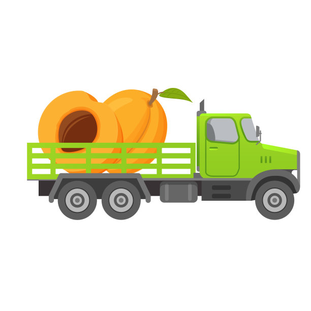 食品运送车收获杏子水果。图片下载