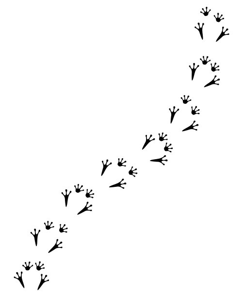 向量黑平蛙脚印路径图片下载