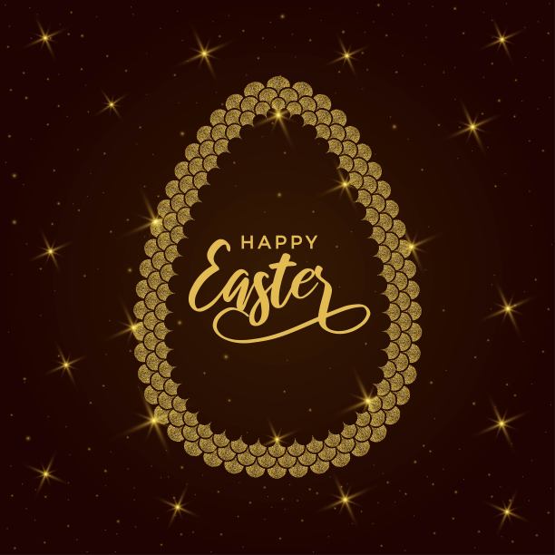 人鱼蛋帧图片下载