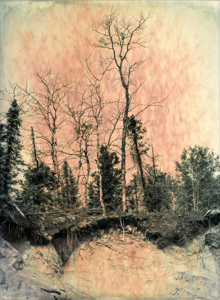 悬崖与滑坡切岸与树木纹理图片下载