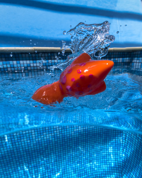 游泳池里的乐趣图片下载