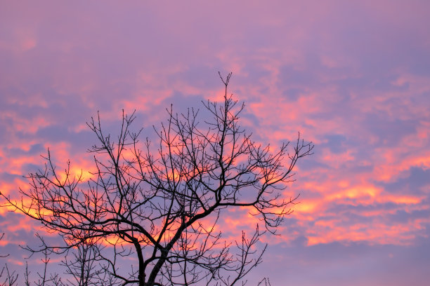 日落-红色的天空图片下载