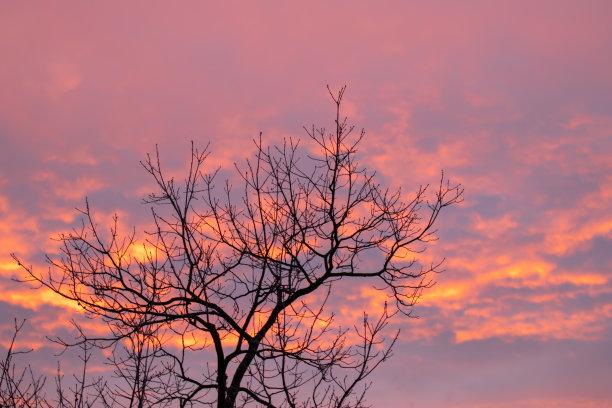 日落-红色的天空图片下载