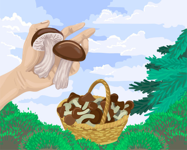 在森林里的篮子里收集蘑菇。矢量概念插图的自然在秋天图片下载