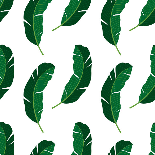 热带叶的无缝模式。矢量插图。图片下载