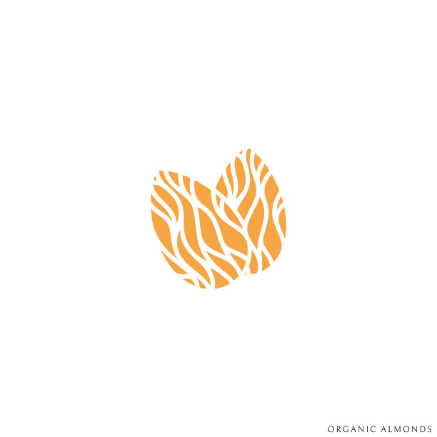 杏仁。干果。白色背景上孤立的坚果图片下载