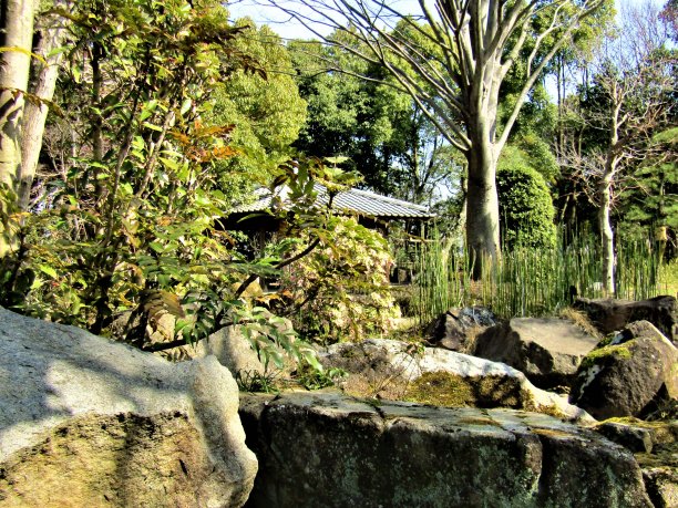 3月初。日本小公共花园中的露台。千叶县野田市。图片下载