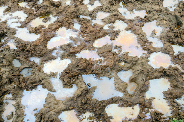 泥浆纹理背景与水和油产品残留物雨后在英国英国图片下载