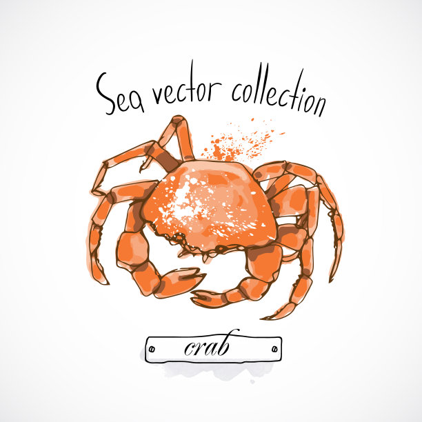 蟹肉海鲜口味包装或菜单水彩喷绘海鲜海报上的白色背景图片下载