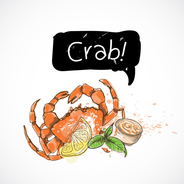 蟹肉海鲜口味包装或菜单水彩喷绘海鲜海报上的白色背景图片下载