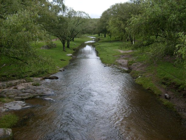 河之间的绿色图片下载