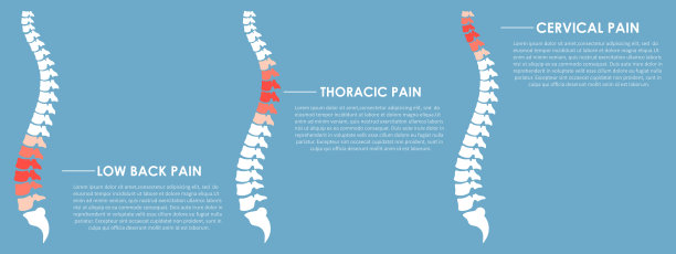脊柱疼痛矢量设计插图图片下载