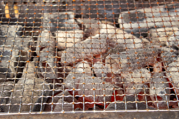 烤炉里的热木炭/五味子图片下载