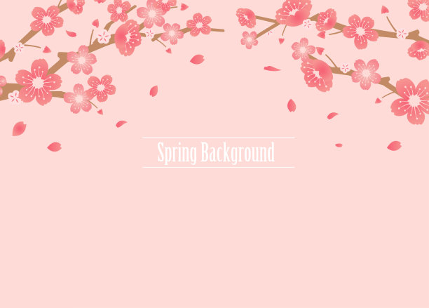 樱花背景插图(春季主题)图片下载