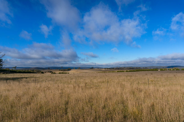 农田上的枯黄草。干旱农村场景图片下载