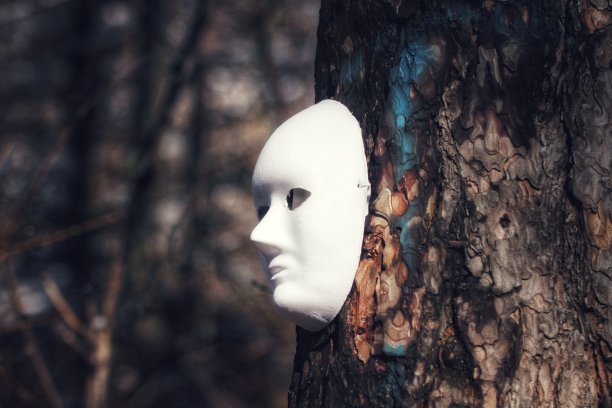 森林中树干上的白色面具图片下载