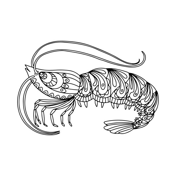 手绘虾涂鸦装饰黑色矢量插图孤立在白色背景。海洋动物素描。图片下载