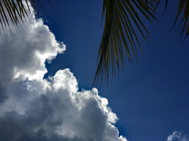 戏剧性的天空图片下载