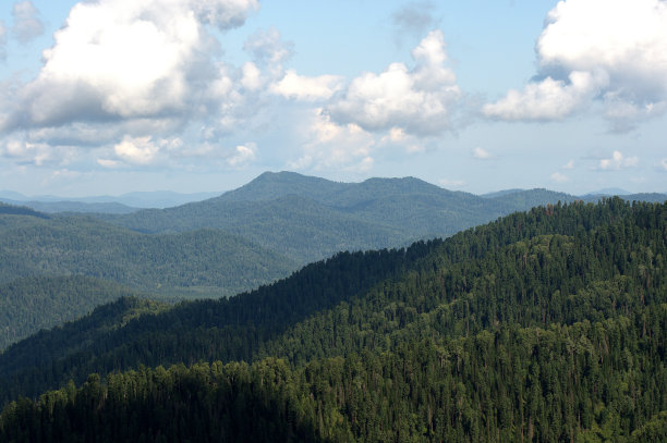 在多云的天空下，高耸的山峰上长满了针叶林。图片下载