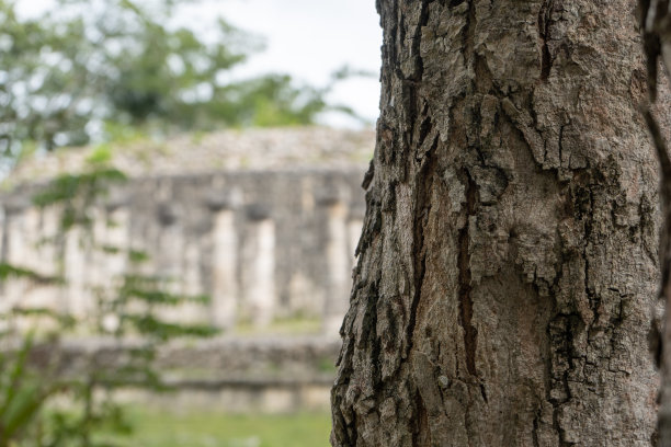 一组一千列。奇琴伊察考古遗址。古玛雅文明的建筑。旅游照片或壁纸。尤卡坦半岛。图片下载