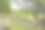 一组一千列。奇琴伊察考古遗址。古玛雅文明的建筑。旅游照片或壁纸。尤卡坦半岛。图片下载