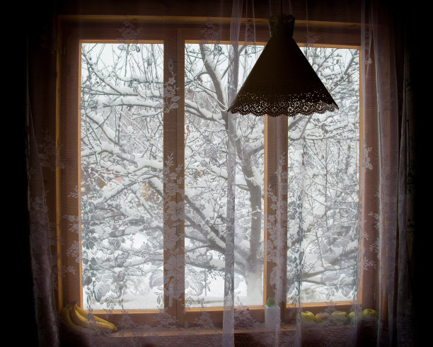 房间窗户上的一棵被雪覆盖的树图片下载
