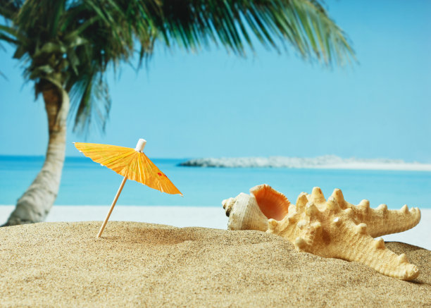 热带海岸的沙滩图片下载