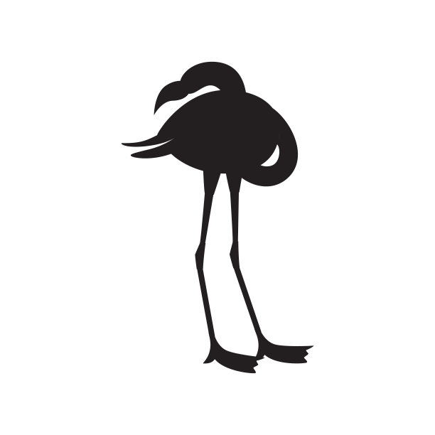 黑色火烈鸟轮廓矢量插图孤立在白色的背景。图片下载