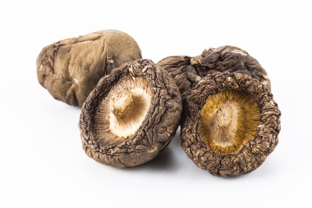 干香菇孤立在白色背景上。图片下载