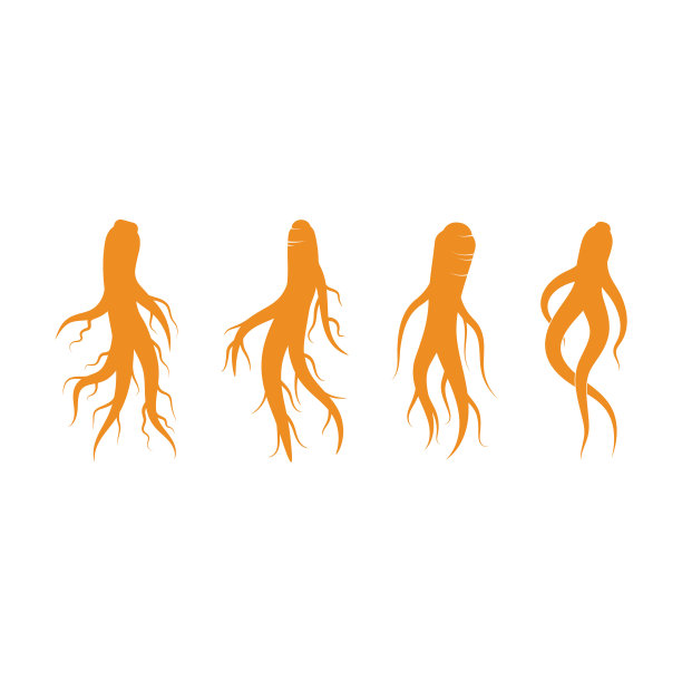 人参矢量图像符号模板图片下载