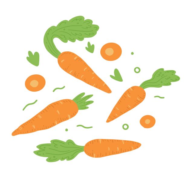 胡萝卜矢量插图孤立组图片下载
