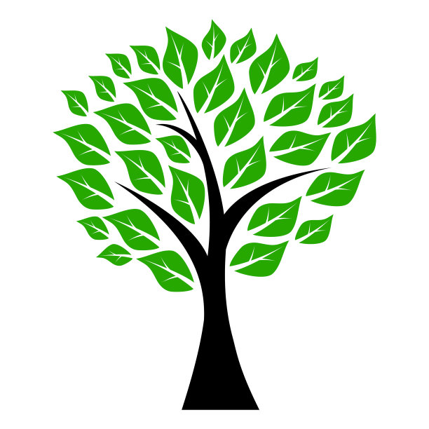 树的叶子素材图片