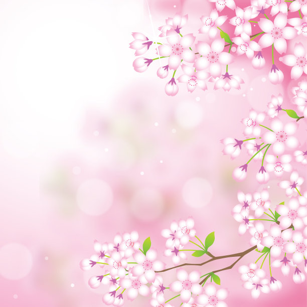 樱花-樱花的背景图片下载